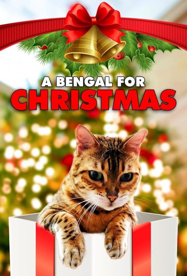 Бенгальская кошка на Рождество / A Bengal for Christmas (2023) - Смотреть  онлайн HD Rezka